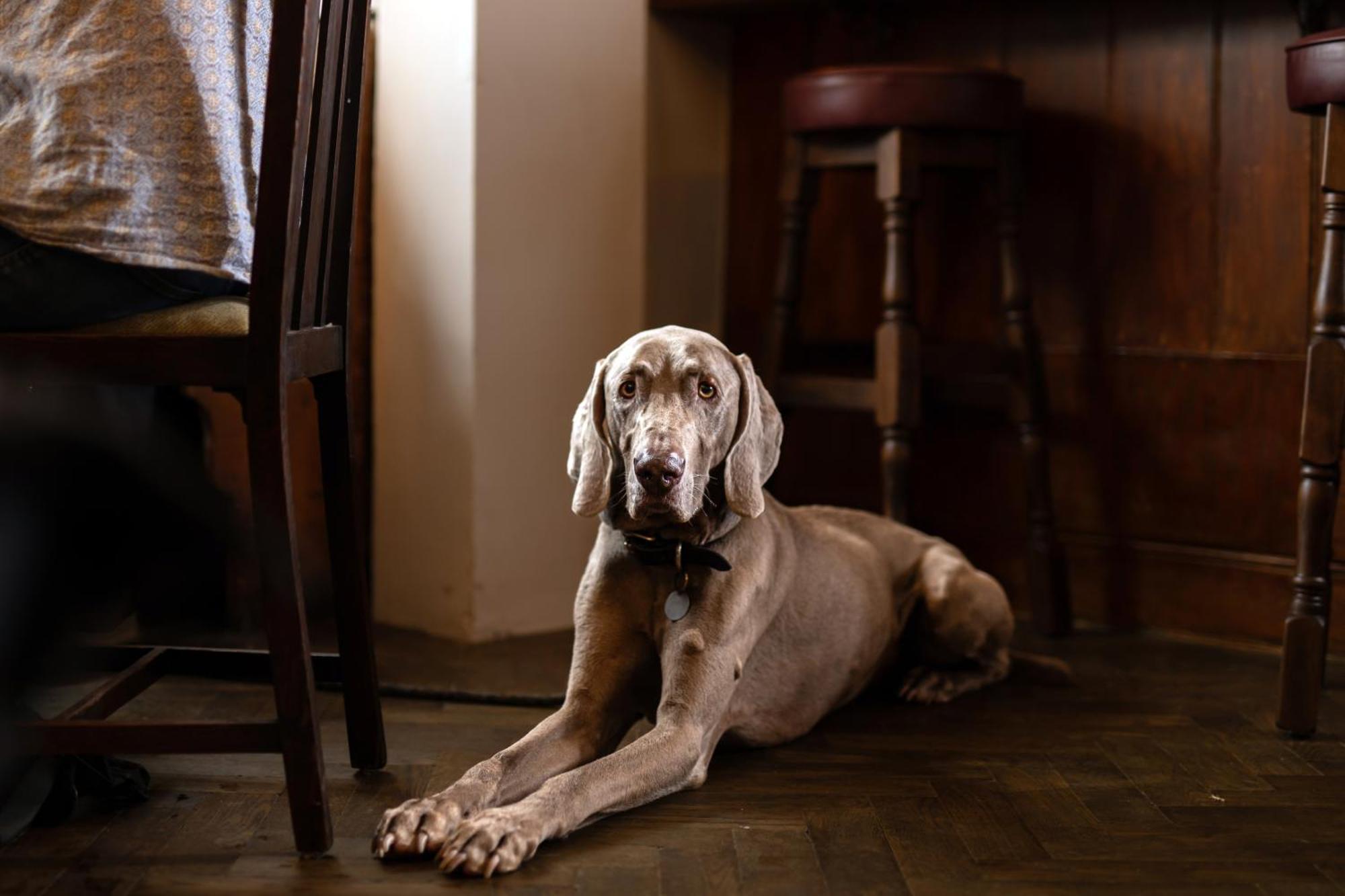 The Lamb Inn Hindon ภายนอก รูปภาพ